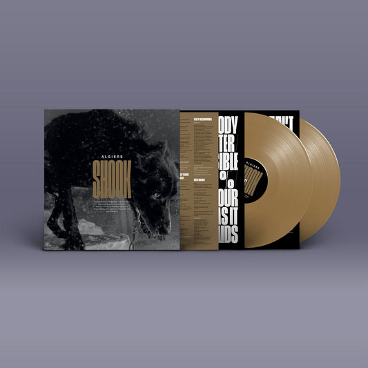 Shook Gold 2xLP (Limited Edition)